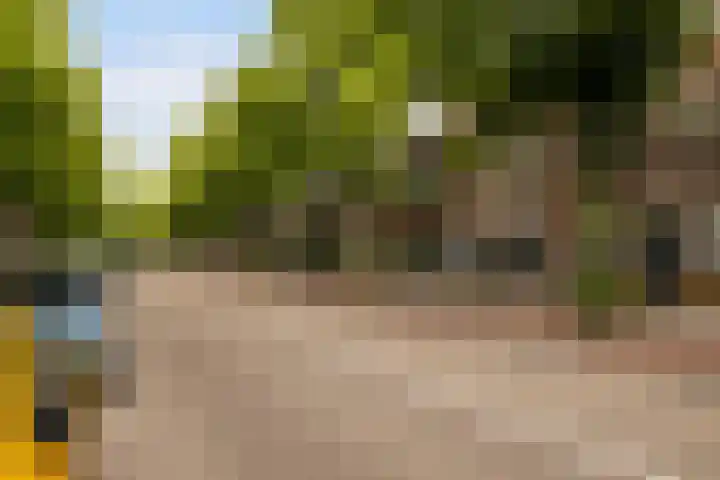 Adriaen van Ostadelaan 127 A Utrecht thumbnail 22
