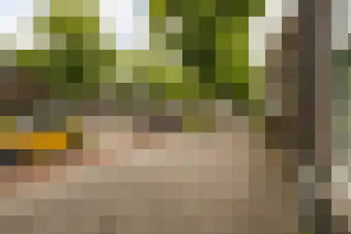 Adriaen van Ostadelaan 127 A Utrecht thumbnail 23