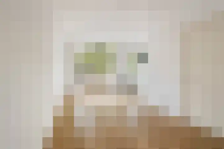 Adriaen van Ostadelaan 127 A Utrecht thumbnail 7