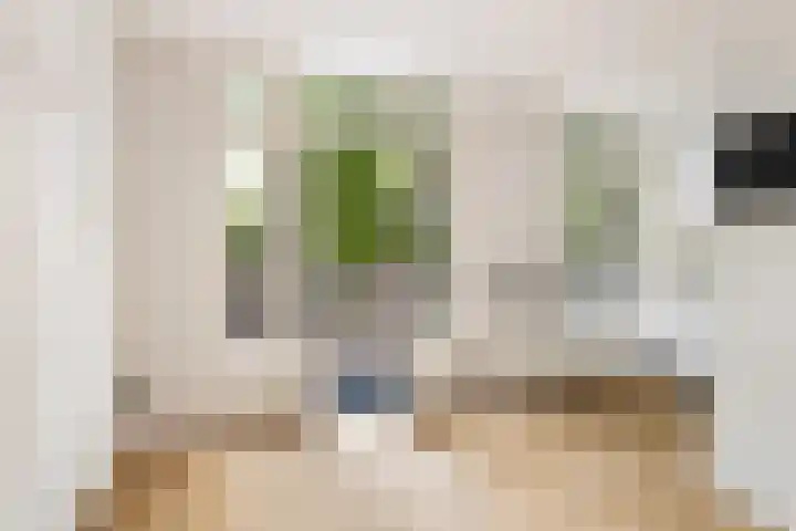 Adriaen van Ostadelaan 127 A Utrecht thumbnail 8