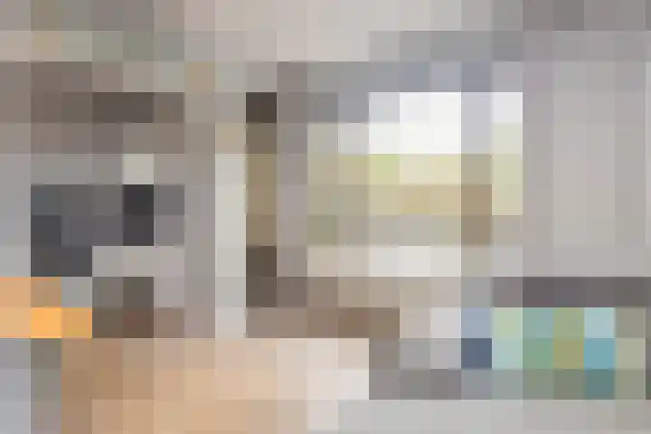 Adriaen van Ostadelaan 157 Utrecht thumbnail 11