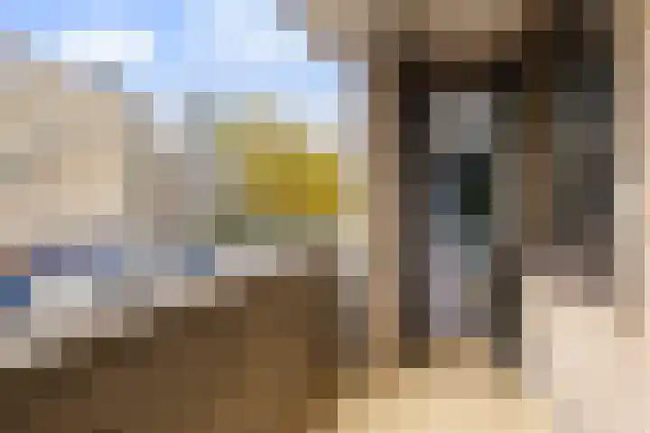 Adriaen van Ostadelaan 157 Utrecht thumbnail 13