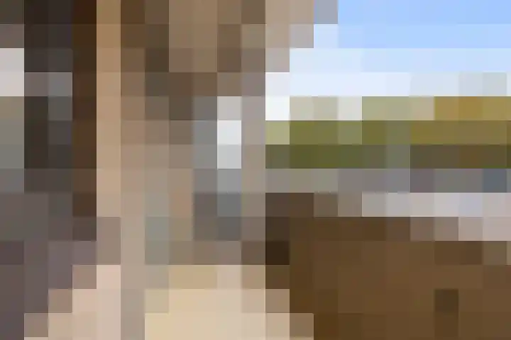 Adriaen van Ostadelaan 157 Utrecht thumbnail 14