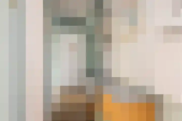 Adriaen van Ostadelaan 157 Utrecht thumbnail 15