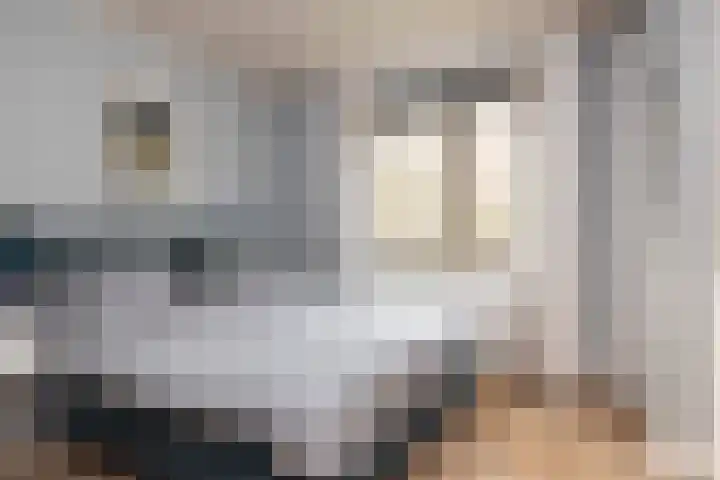 Adriaen van Ostadelaan 157 Utrecht thumbnail 18