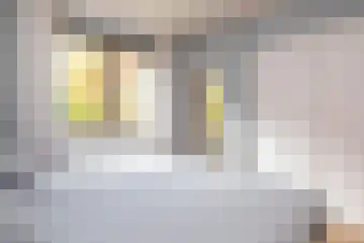Adriaen van Ostadelaan 157 Utrecht thumbnail 19