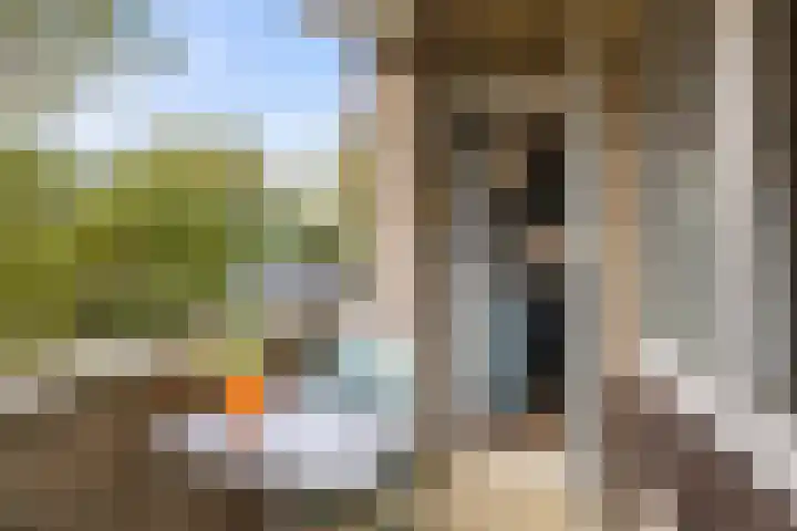 Adriaen van Ostadelaan 157 Utrecht thumbnail 20