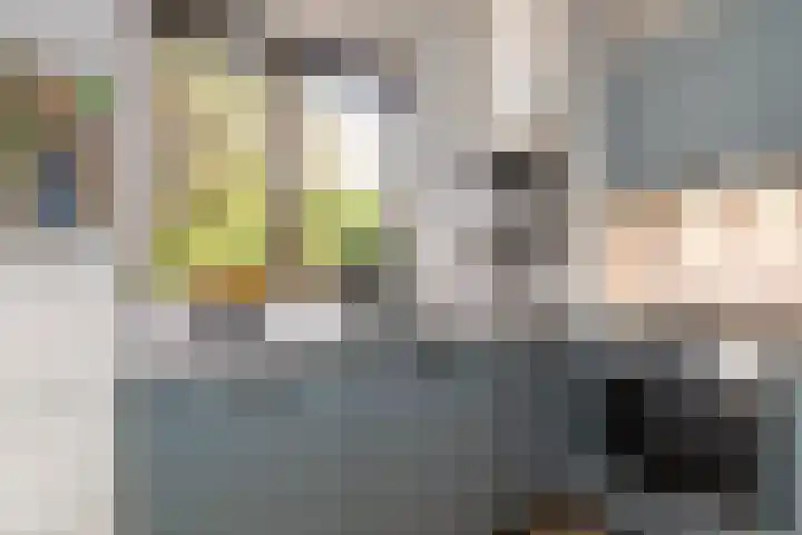 Adriaen van Ostadelaan 157 Utrecht thumbnail 22