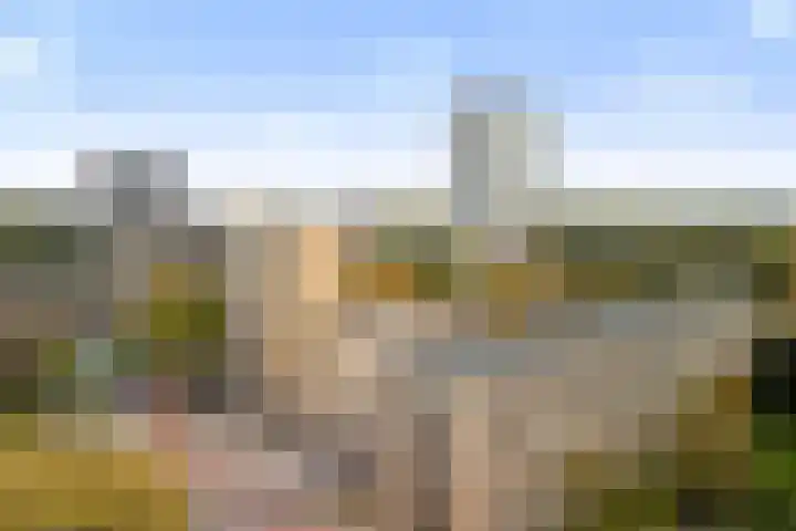 Adriaen van Ostadelaan 157 Utrecht thumbnail 26