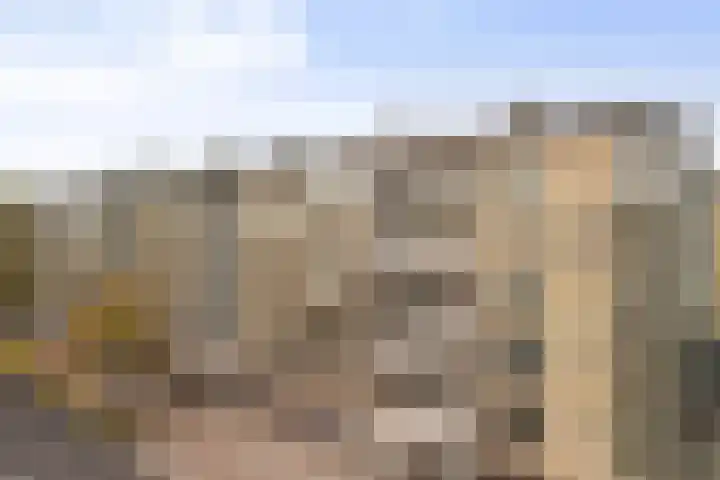 Adriaen van Ostadelaan 157 Utrecht thumbnail 27