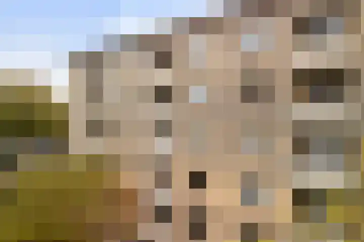 Adriaen van Ostadelaan 157 Utrecht thumbnail 28