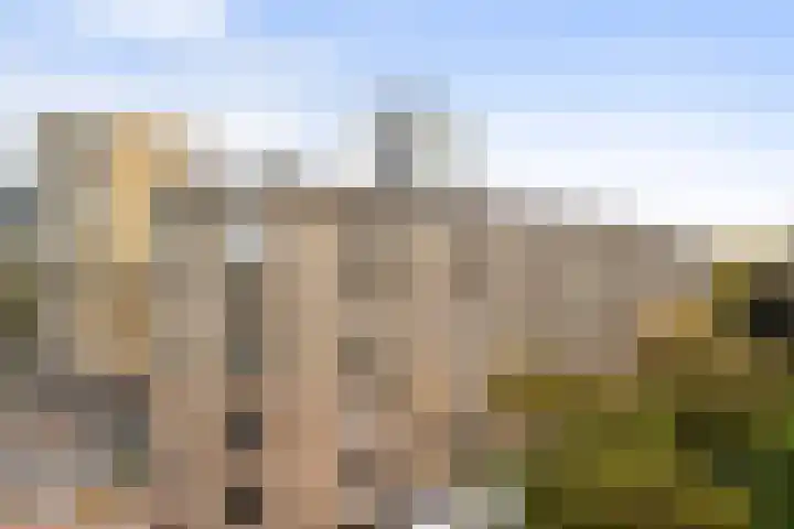 Adriaen van Ostadelaan 157 Utrecht thumbnail 29