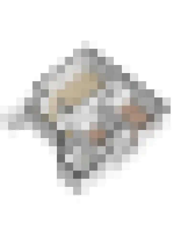 Adriaen van Ostadelaan 157 Utrecht thumbnail 32