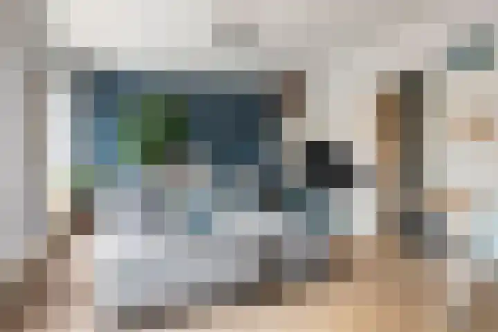 Adriaen van Ostadelaan 157 Utrecht thumbnail 8