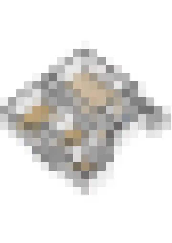 Adriaen van Ostadelaan 159 1 Utrecht thumbnail 41