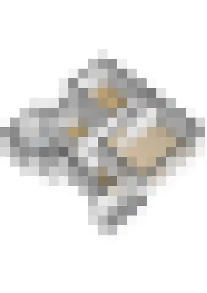 Adriaen van Ostadelaan 159 1 Utrecht thumbnail 43