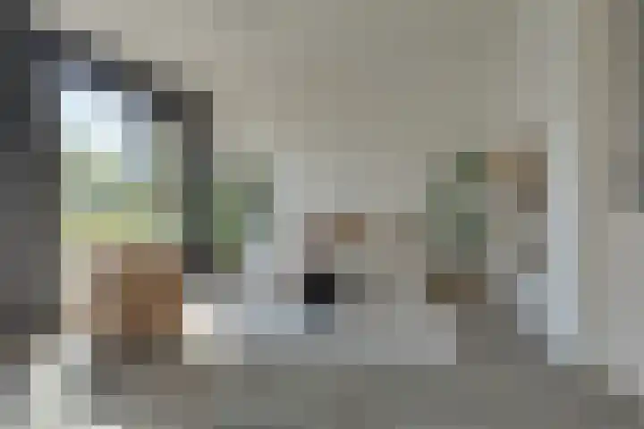Adriaen van Ostadelaan 161 4 Utrecht foto 2