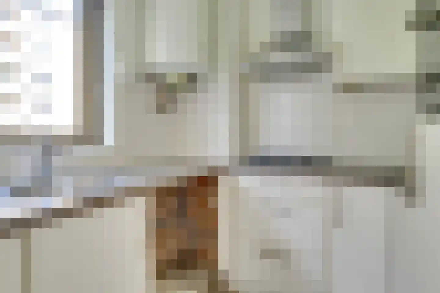Adriaen van Ostadelaan 165 Utrecht thumbnail 20