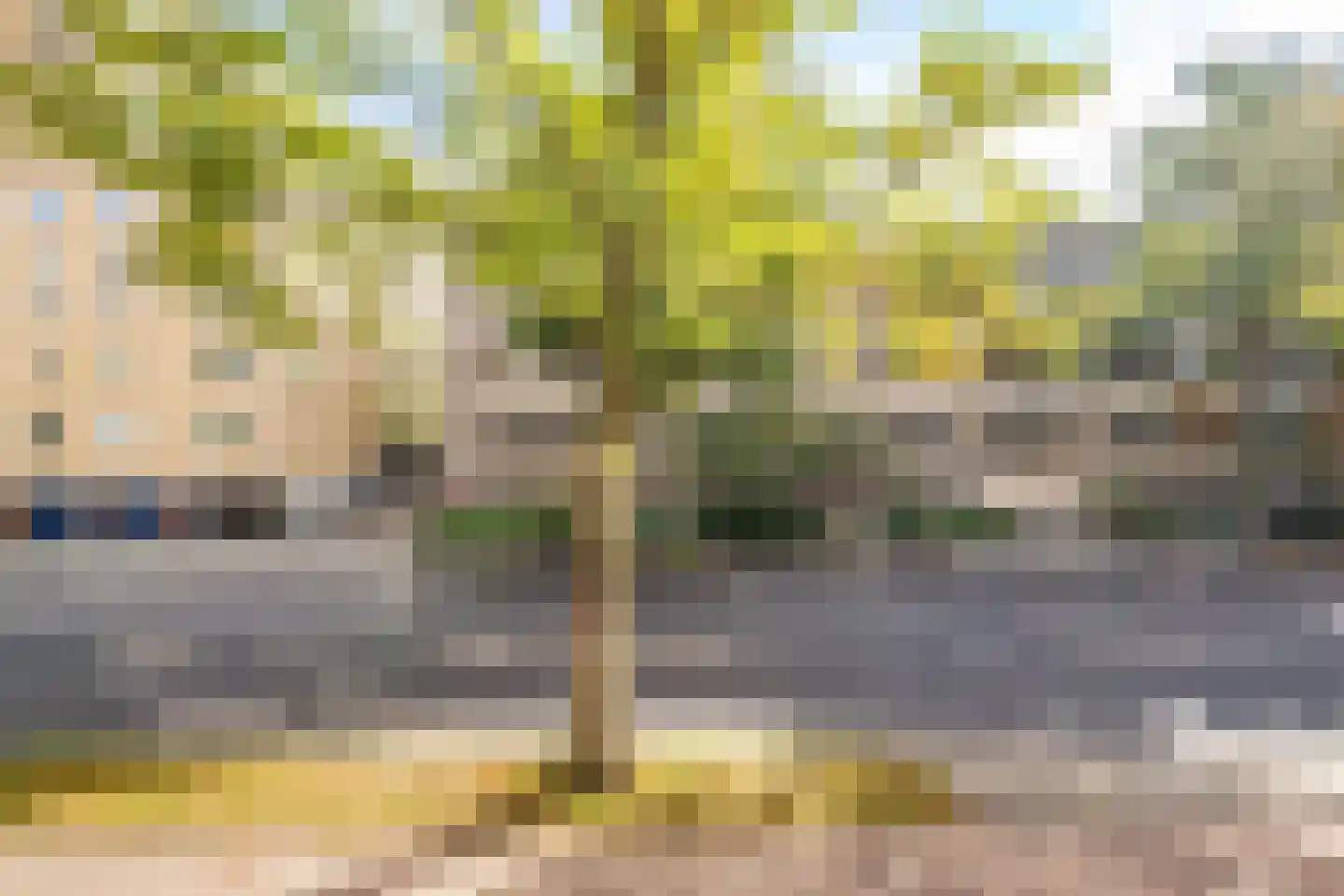 Adriaen van Ostadelaan 165 Utrecht thumbnail 39