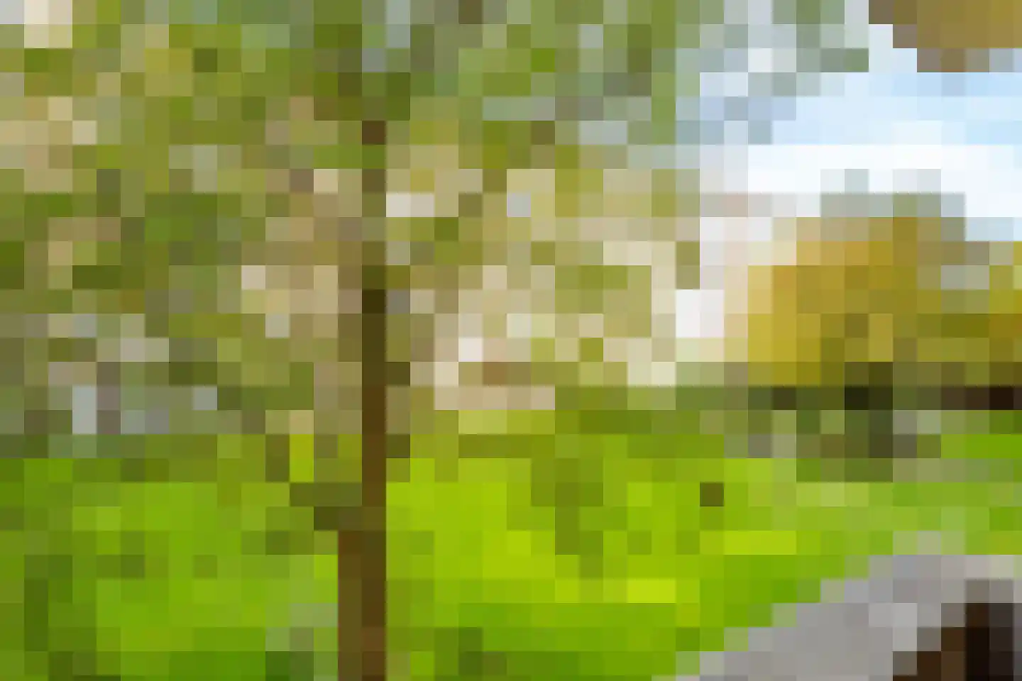 Adriaen van Ostadelaan 165 Utrecht thumbnail 4