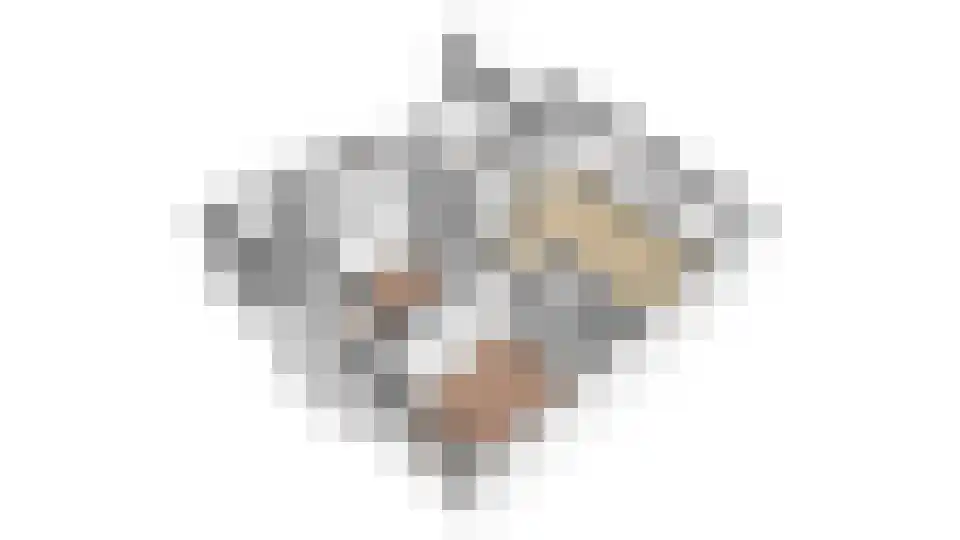 Adriaen van Ostadelaan 165 Utrecht thumbnail 52