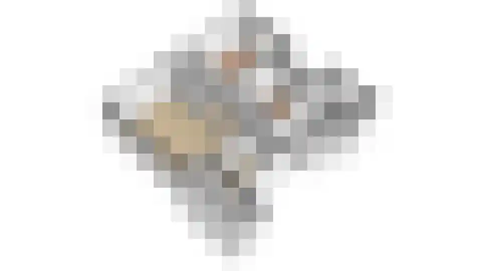 Adriaen van Ostadelaan 165 Utrecht thumbnail 53