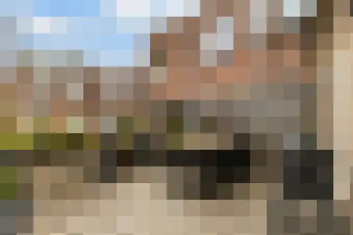 Adriaen van Ostadelaan 18 C Utrecht thumbnail 27