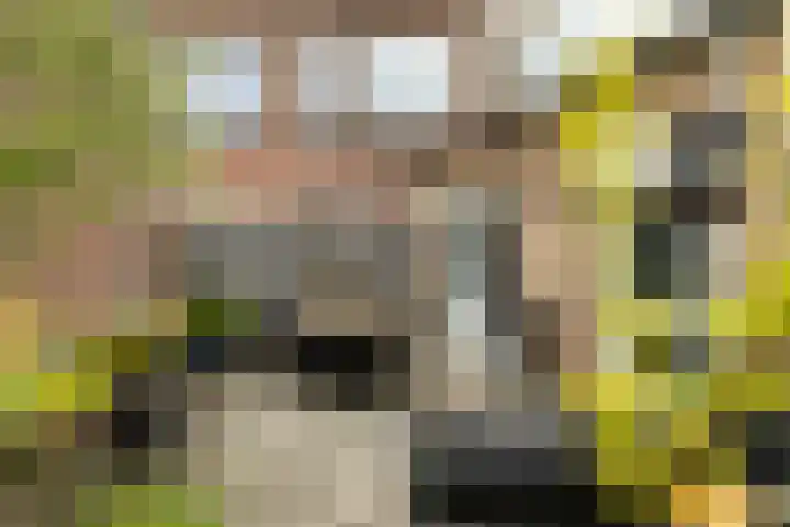 Adriaen van Ostadelaan 18 C Utrecht thumbnail 28