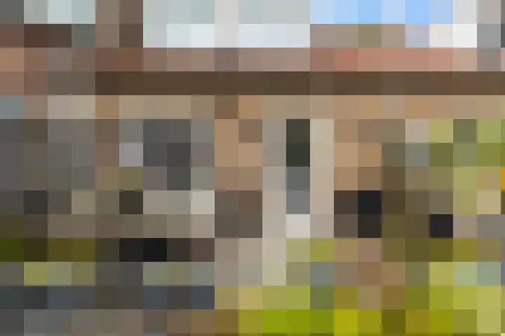 Adriaen van Ostadelaan 18 C Utrecht thumbnail 30