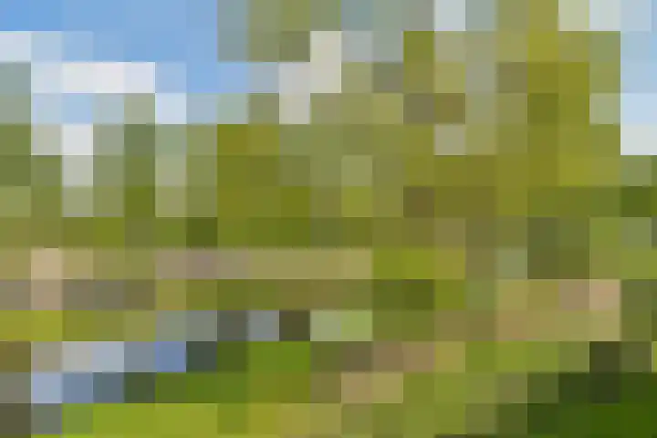 Adriaen van Ostadelaan 20 Amstelveen thumbnail 10