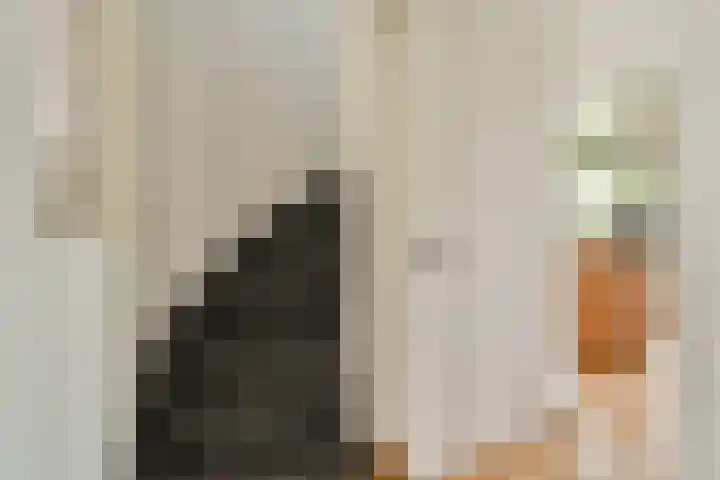Adriaen van Ostadelaan 20 Amstelveen thumbnail 12