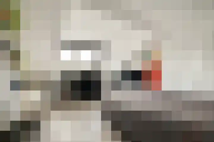 Adriaen van Ostadelaan 20 Amstelveen thumbnail 13