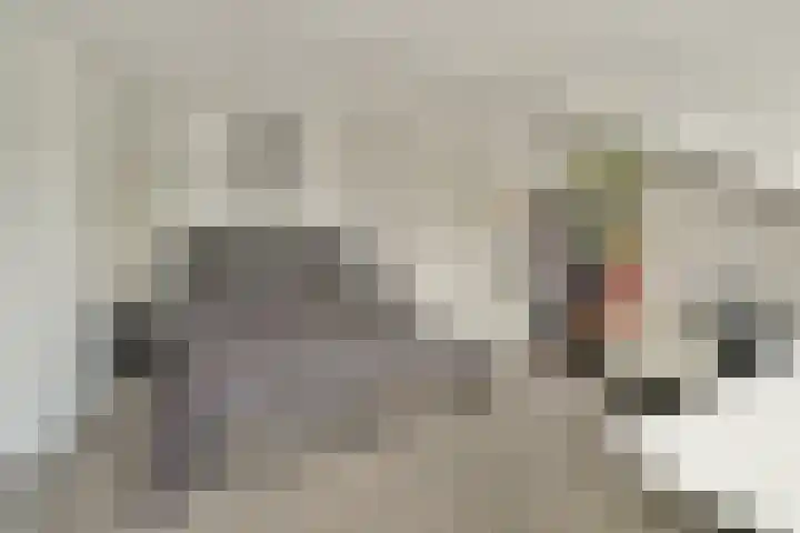 Adriaen van Ostadelaan 20 Amstelveen thumbnail 14