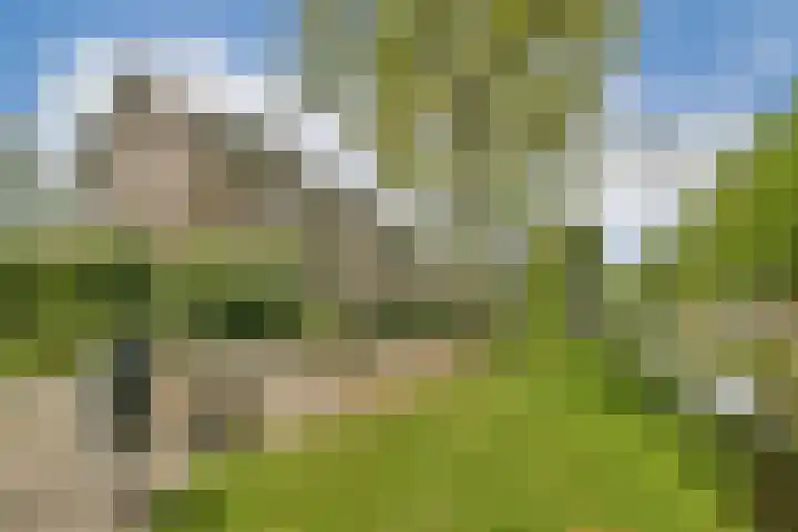 Adriaen van Ostadelaan 20 Amstelveen thumbnail 20