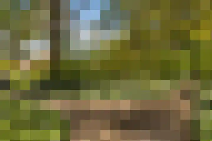 Adriaen van Ostadelaan 20 Amstelveen thumbnail 22
