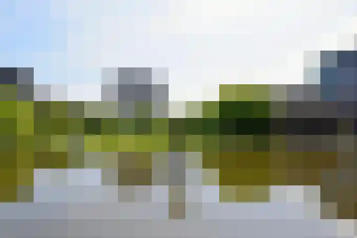 Adriaen van Ostadelaan 20 Amstelveen thumbnail 23