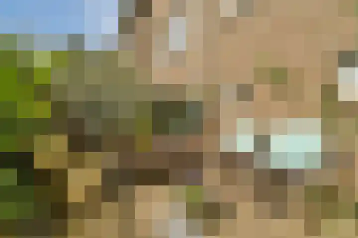 Adriaen van Ostadelaan 20 Amstelveen thumbnail 4