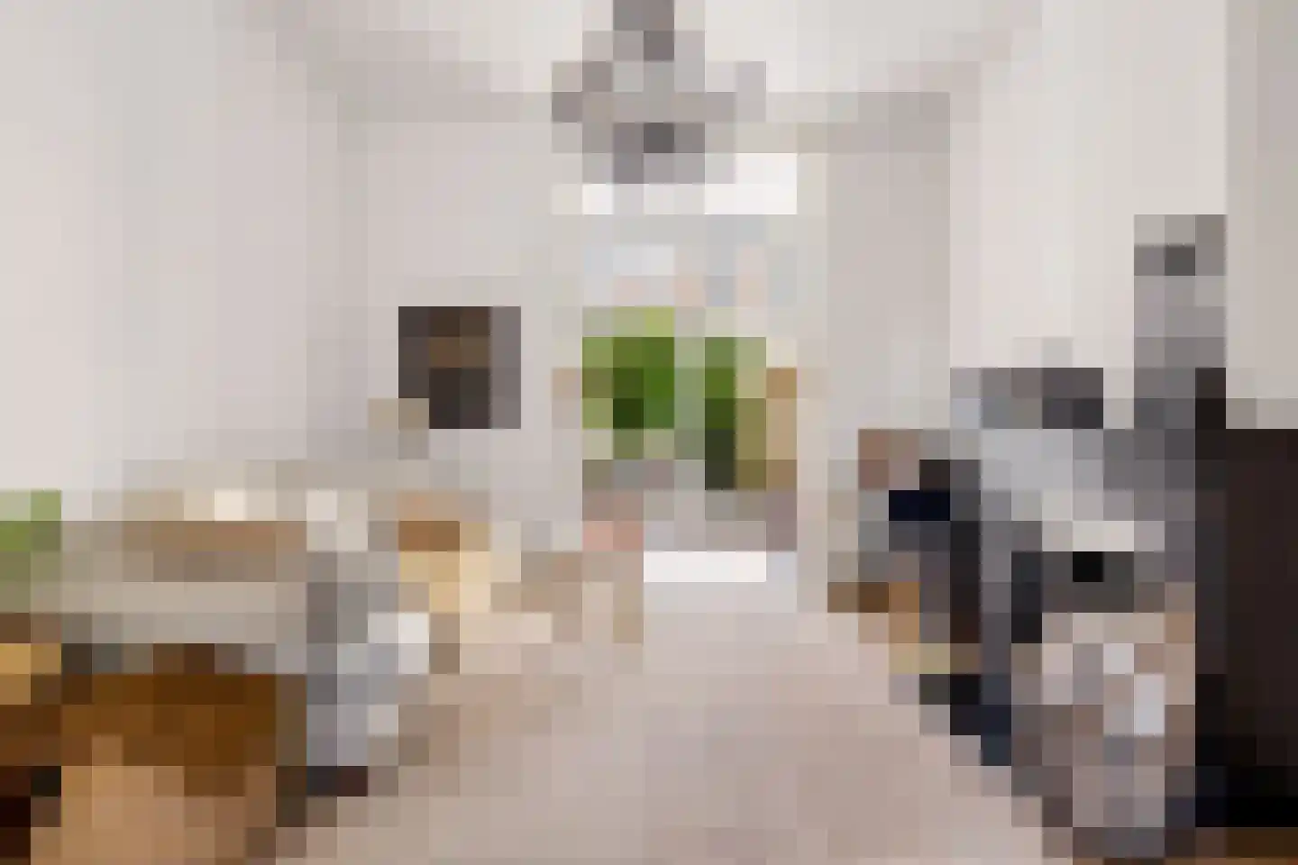 Adriaen van Ostadelaan 25 Utrecht thumbnail 11
