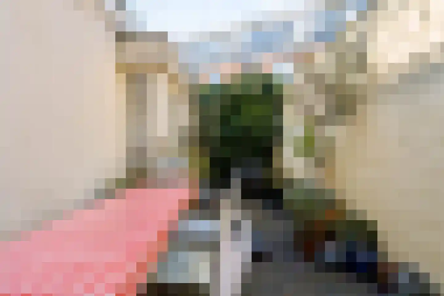 Adriaen van Ostadelaan 25 Utrecht thumbnail 13
