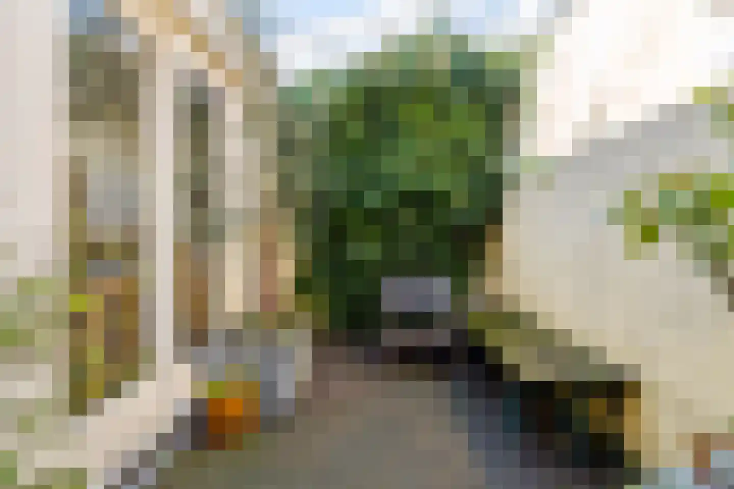 Adriaen van Ostadelaan 25 Utrecht thumbnail 14