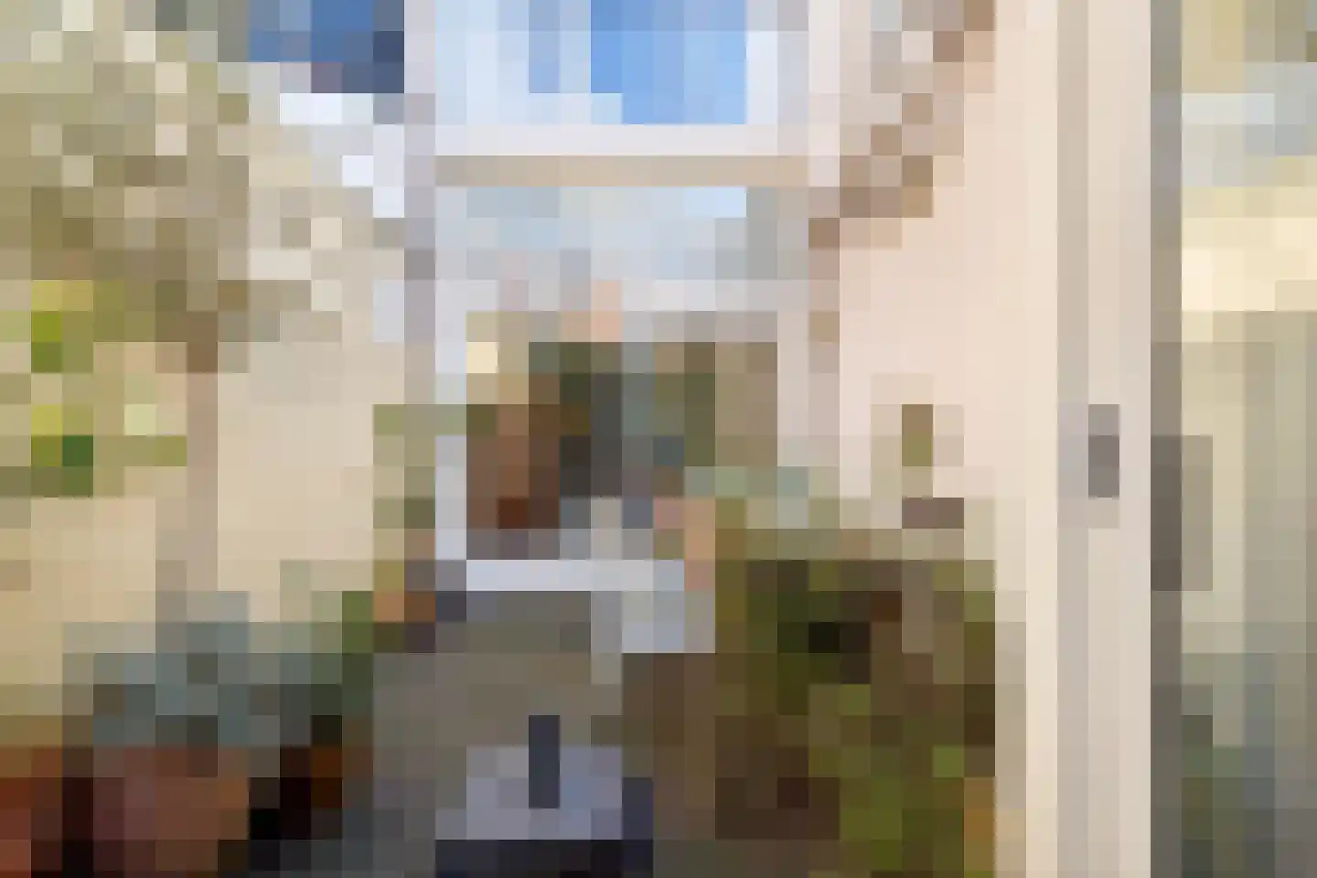 Adriaen van Ostadelaan 25 Utrecht thumbnail 15