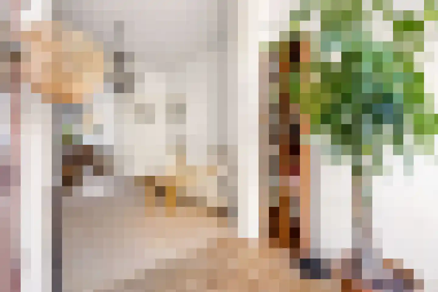 Adriaen van Ostadelaan 25 Utrecht thumbnail 16