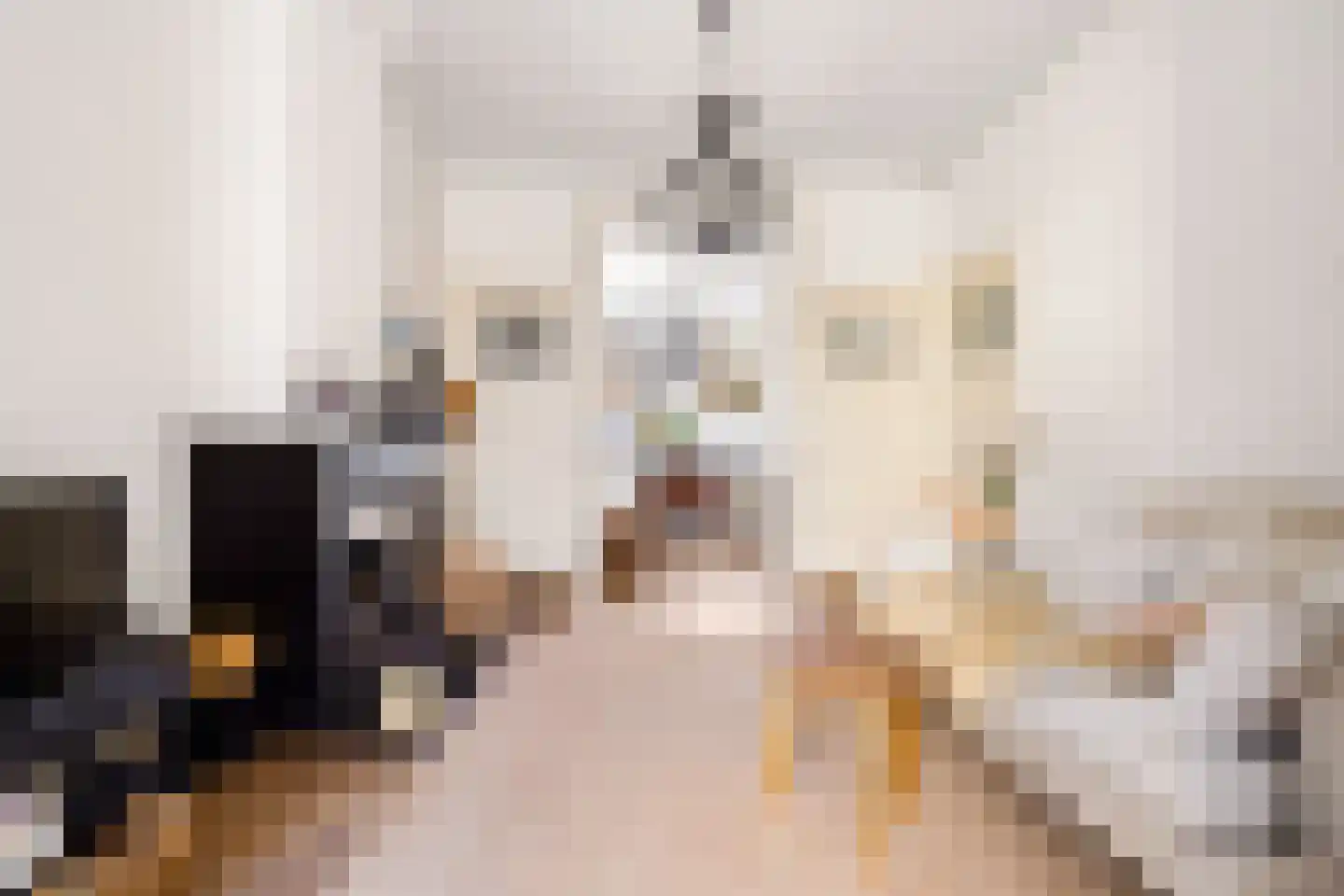 Adriaen van Ostadelaan 25 Utrecht thumbnail 17