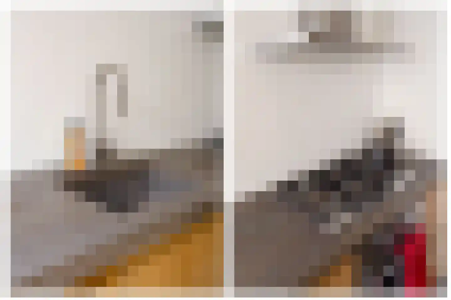 Adriaen van Ostadelaan 25 Utrecht thumbnail 20