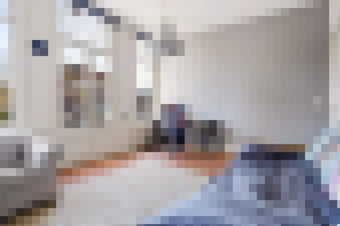 Adriaen van Ostadelaan 25 Utrecht thumbnail 32