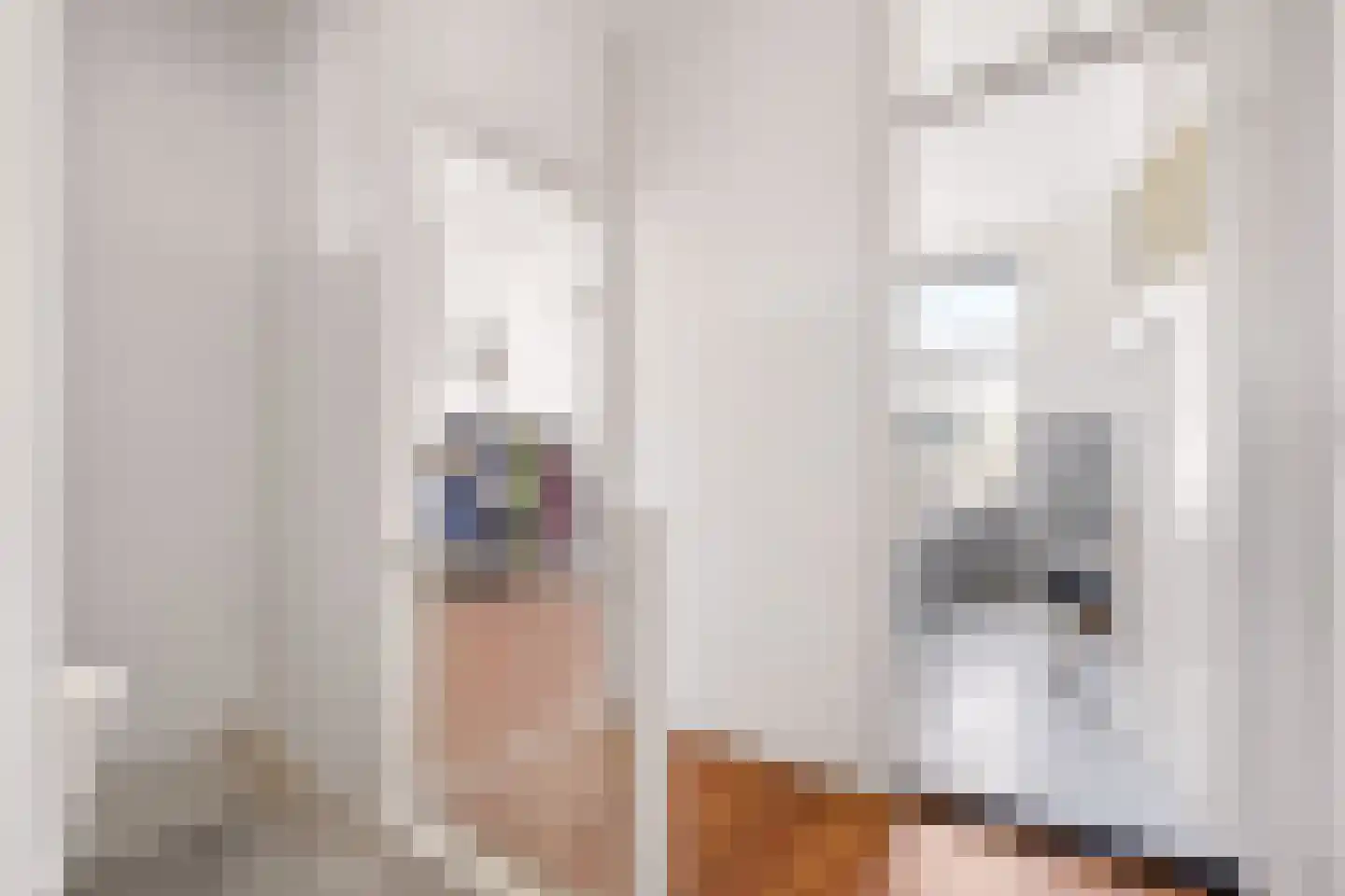 Adriaen van Ostadelaan 25 Utrecht thumbnail 34