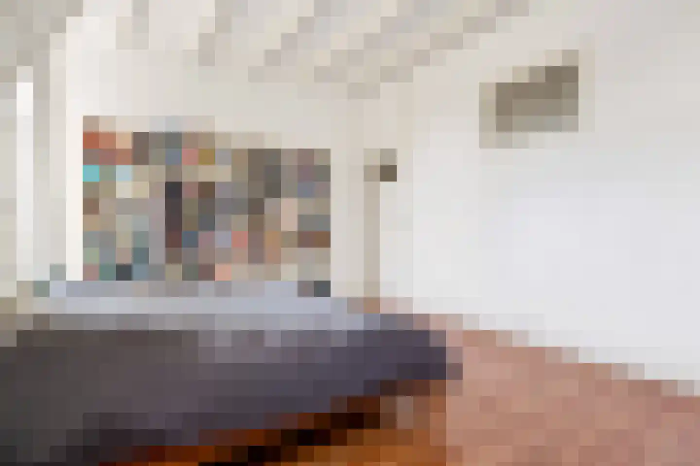 Adriaen van Ostadelaan 25 Utrecht thumbnail 39