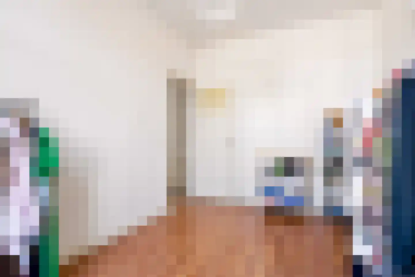 Adriaen van Ostadelaan 25 Utrecht thumbnail 42