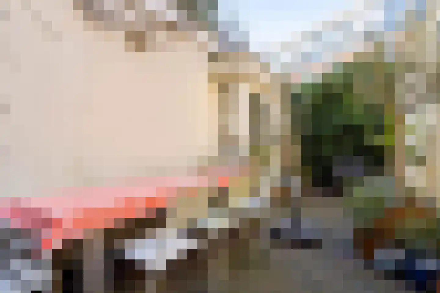 Adriaen van Ostadelaan 25 Utrecht thumbnail 5