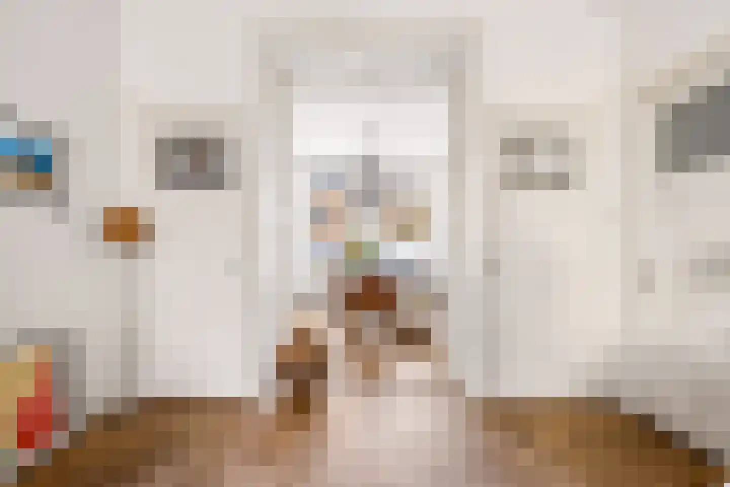 Adriaen van Ostadelaan 25 Utrecht thumbnail 7
